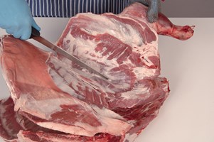 Shoulder Meat Cut Spec Step 3
